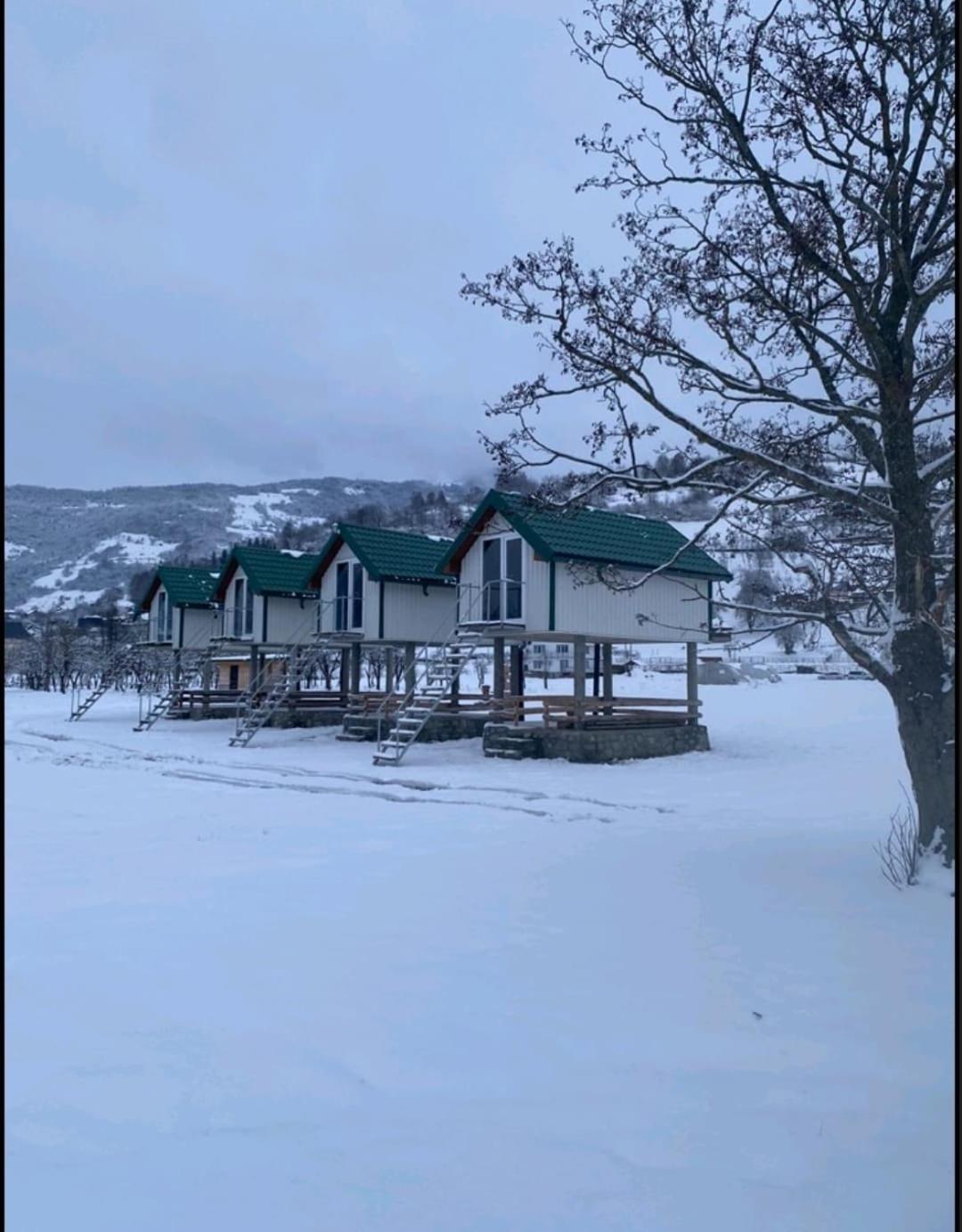 Vila Begov Kamp, Plav Exteriér fotografie